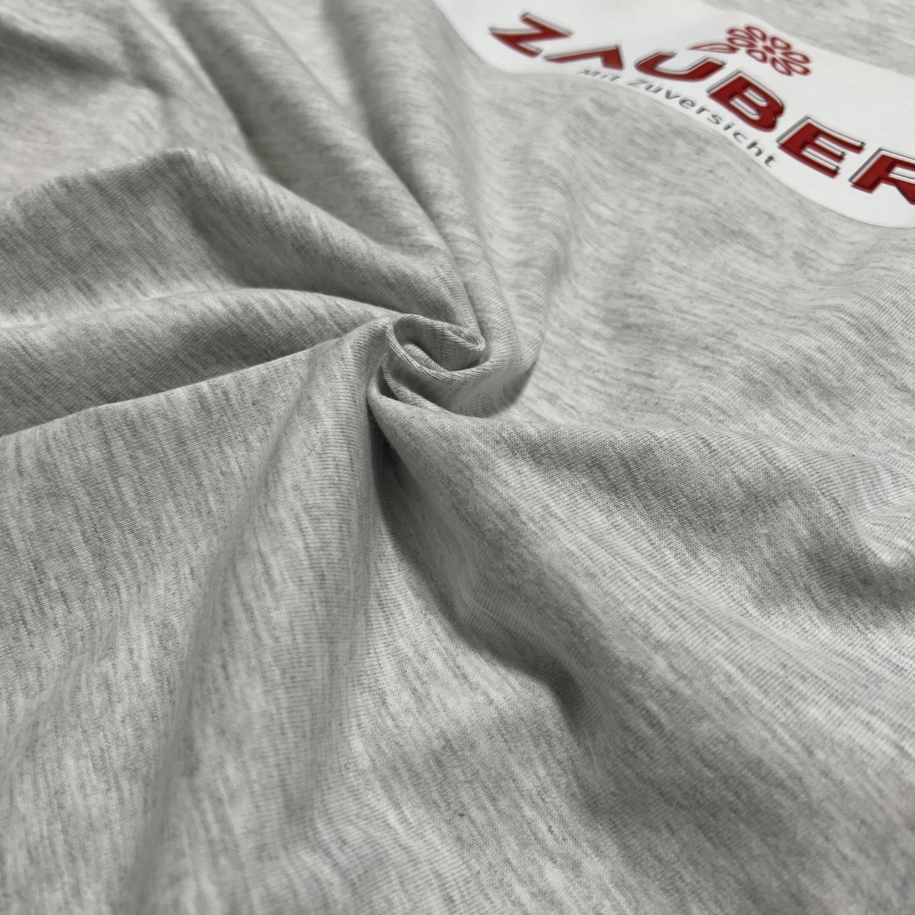 BAND LOGO PRINT/袖リブtype【Zauber】