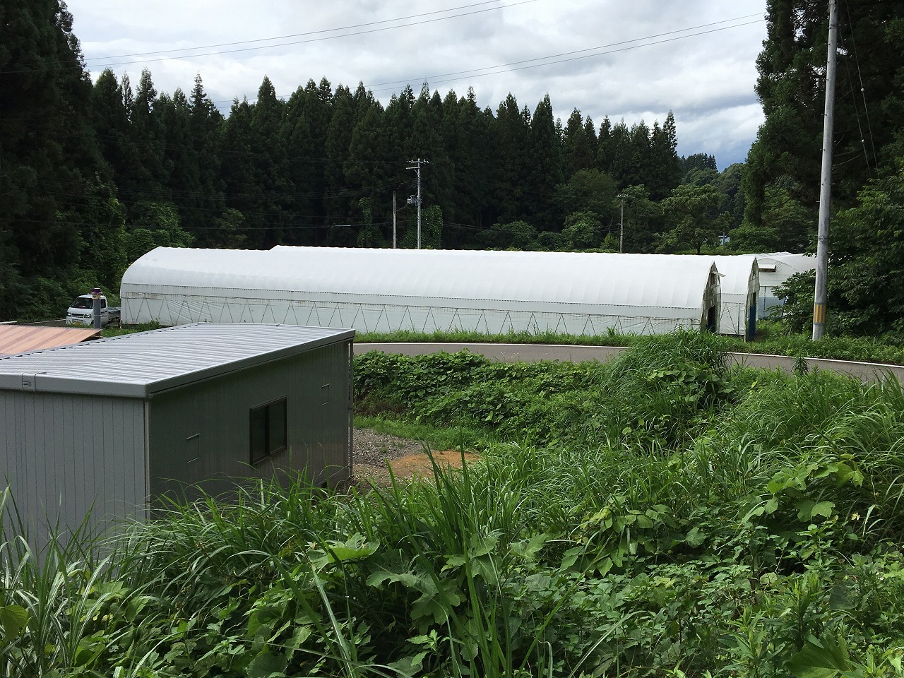 富士ソフト企画株式会社