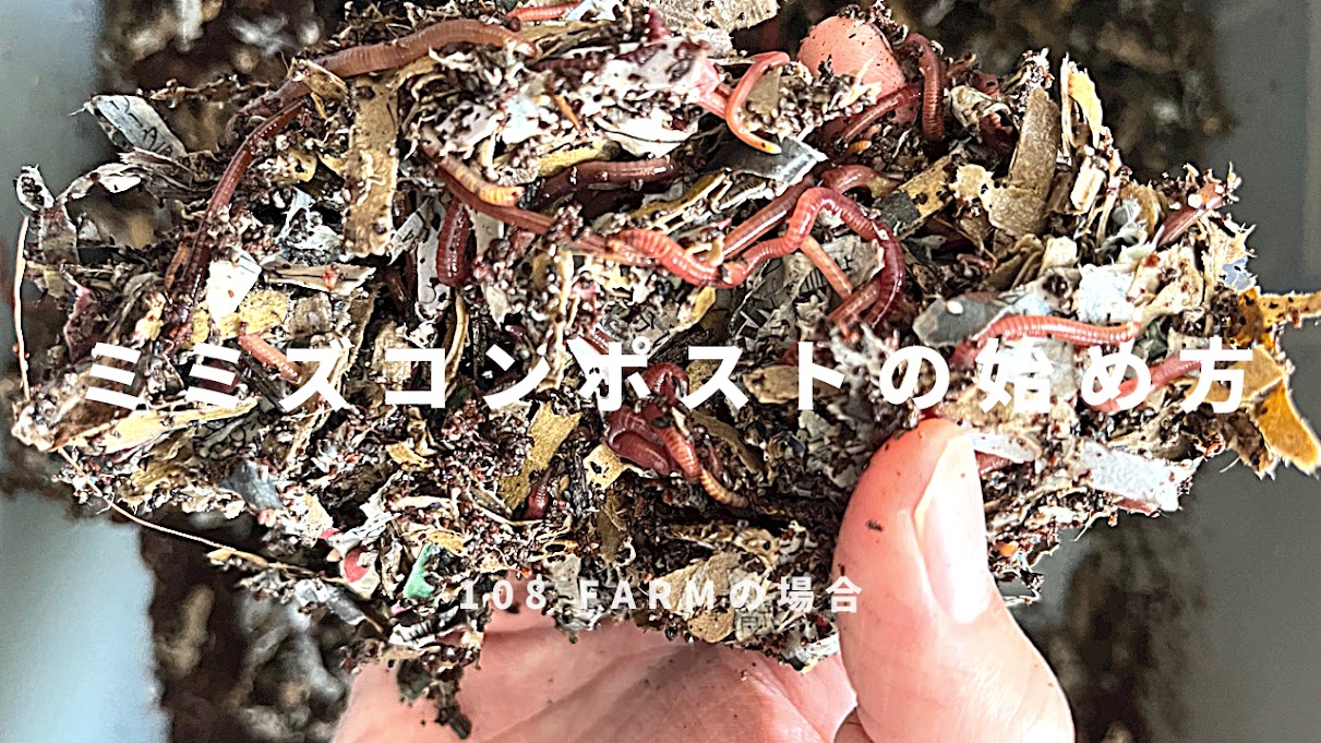 ミミズコンポストの始め方
