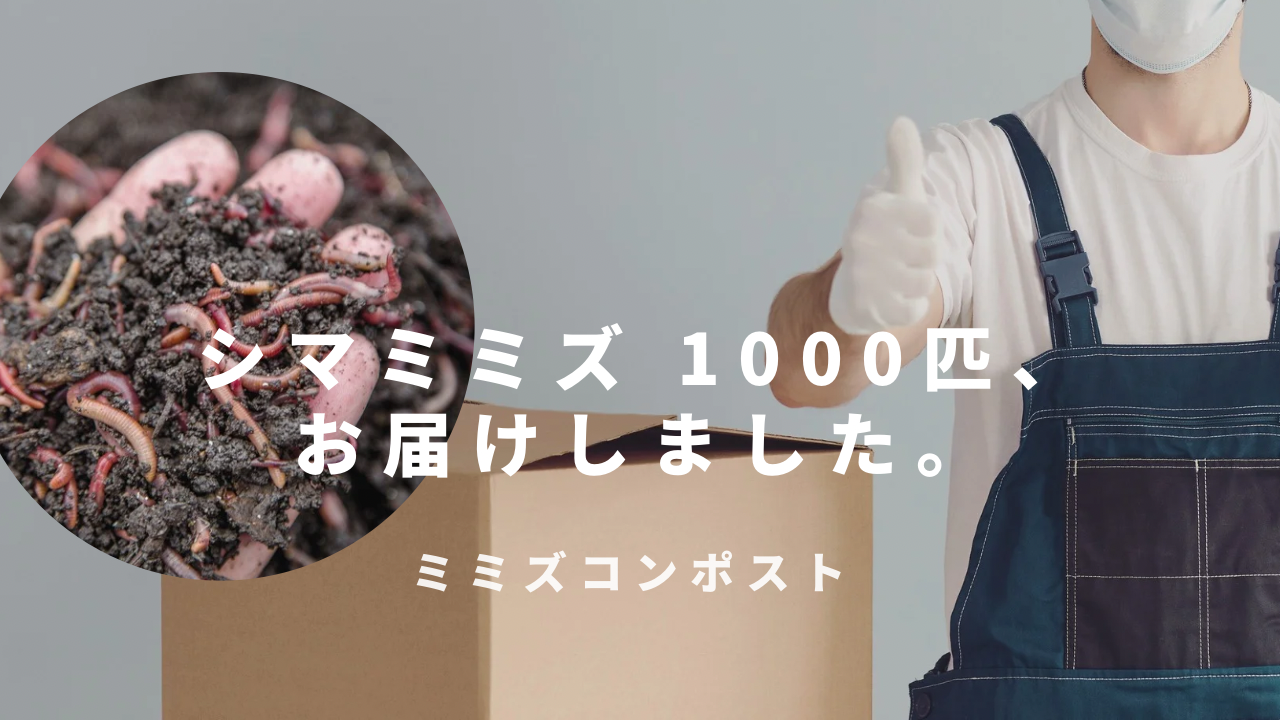 コンポスト用ミミズ 、発送の様子