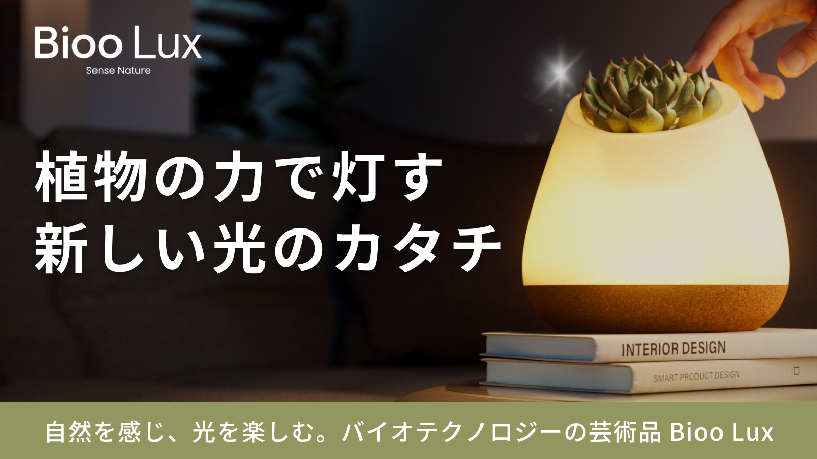 【日本初上陸】植物に触れると灯る！新感覚照明「Bioo Lux」Makuakeで先行予約販売開始！