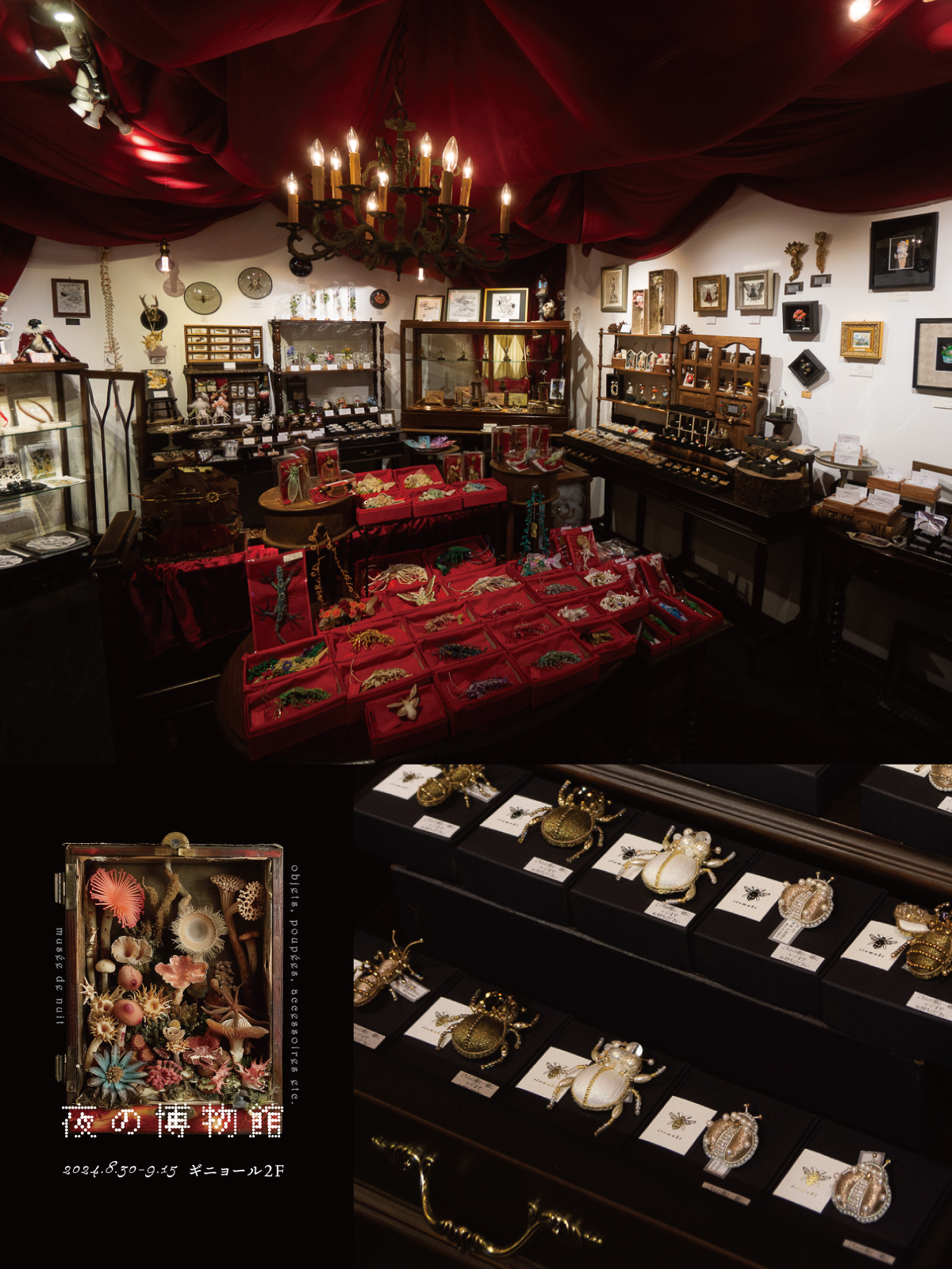 夜の博物館展　レビュー