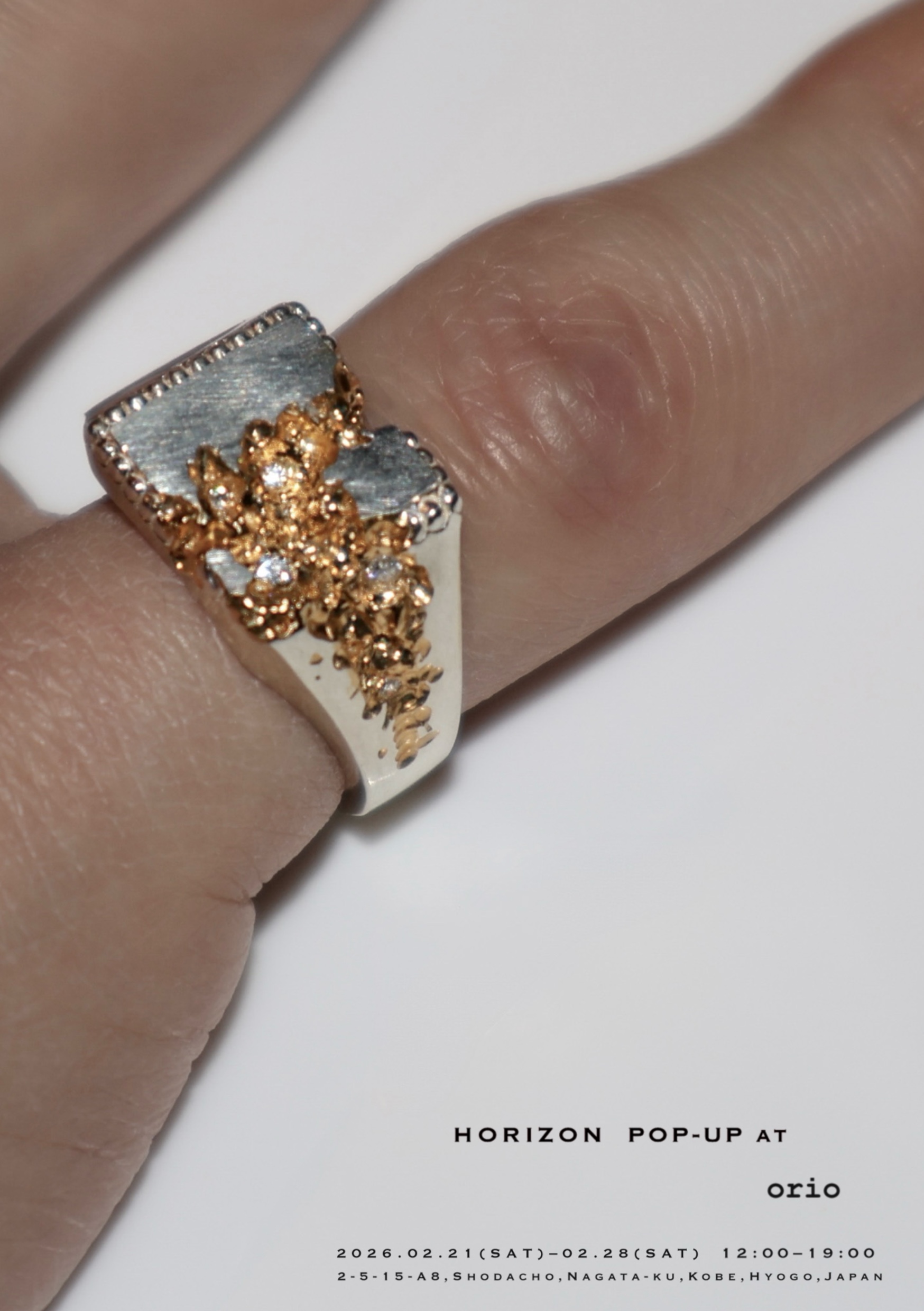 2/21-28 HORIZON POP-UP