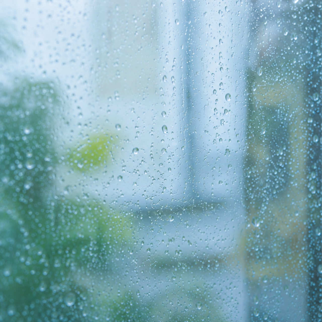 雨粒と雫