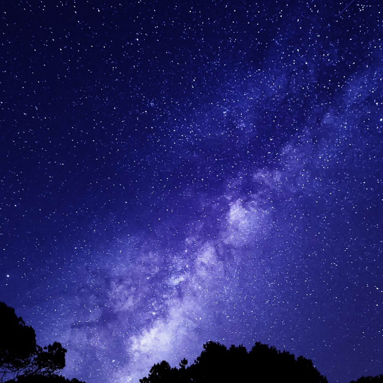 夏の星空 Collection 2