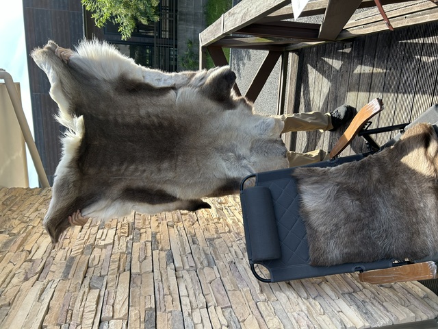 DALUM【Wardトナカイファー】が不思議な程… 温かく温もり感じます^ ^ 🫎今期分入荷