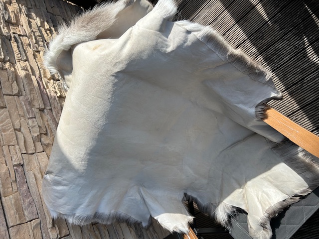 DALUM【Wardトナカイファー】が… 不思議な程… 温かく温もりを感じます^ ^ 🫎