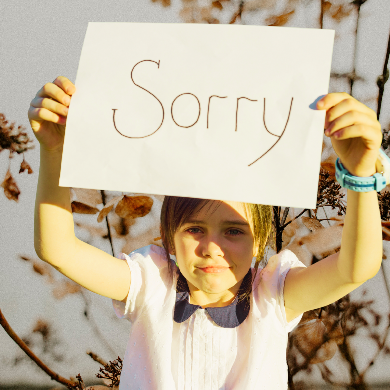 送料の金額誤りについて