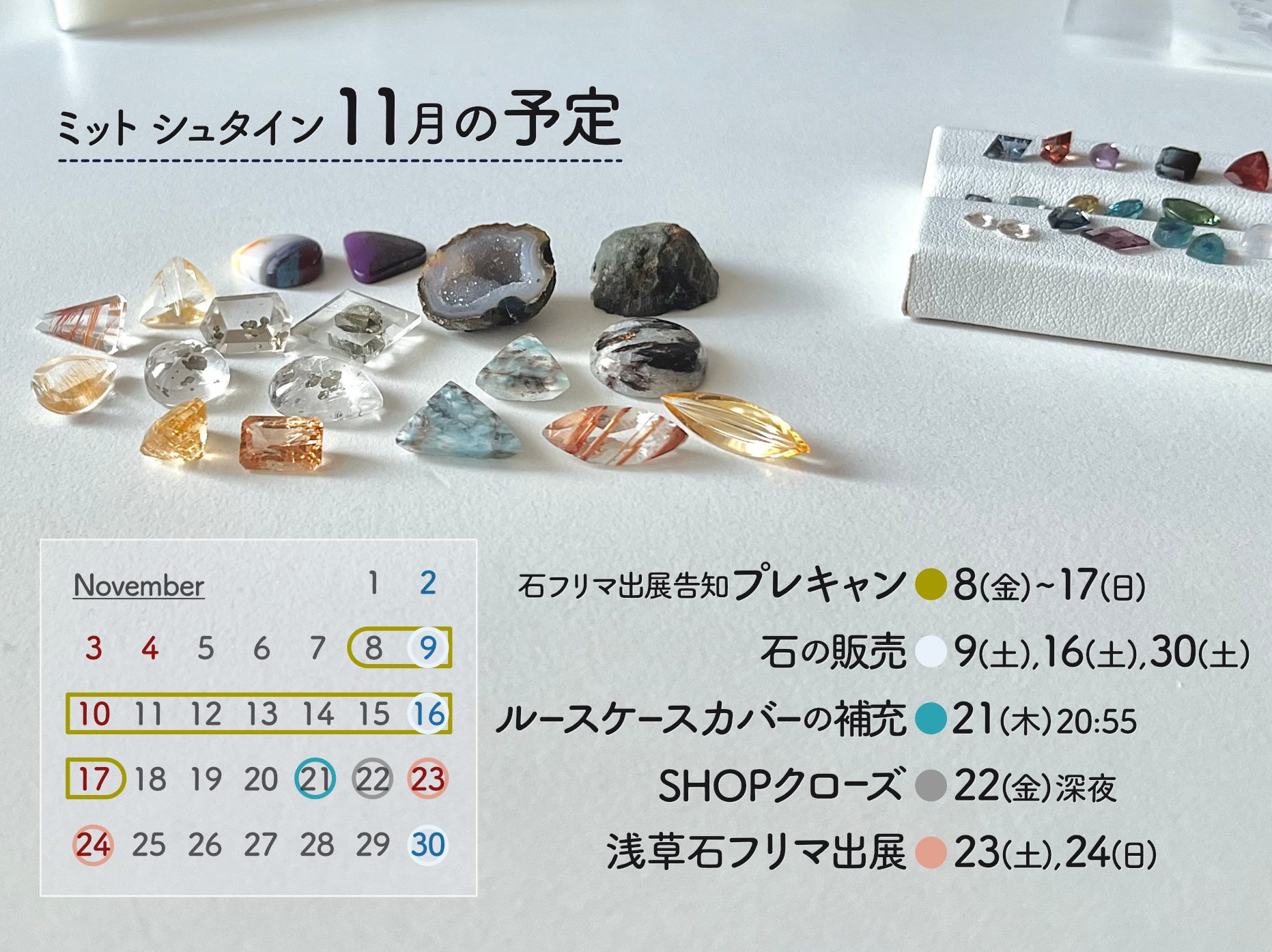 11月の活動予定📣