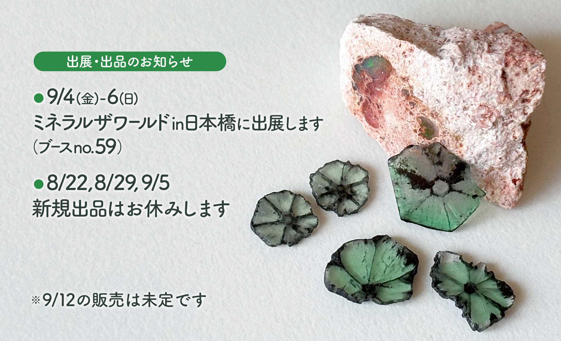 ミネラルザワールドin日本橋2026(9/4〜6)に出展します😊