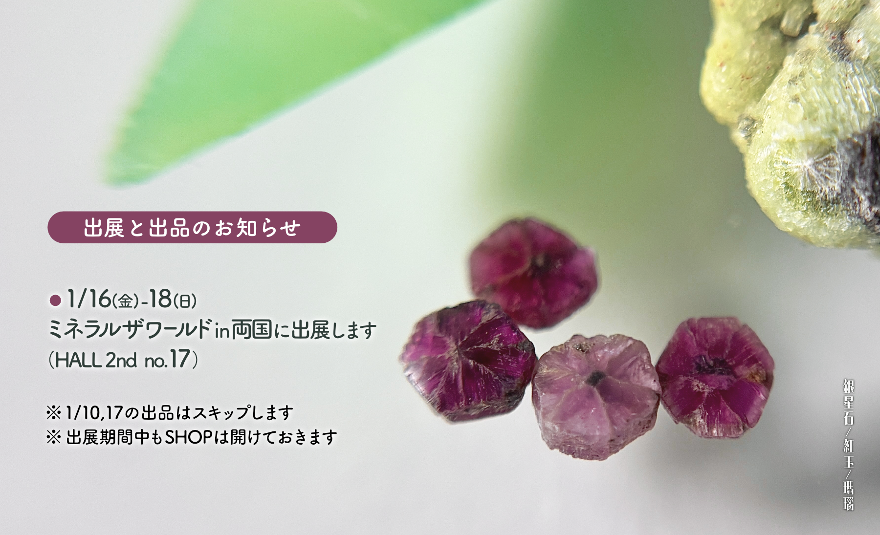 1/16(金)〜18(日)開催のミネラルザワールドin両国に出展します📢