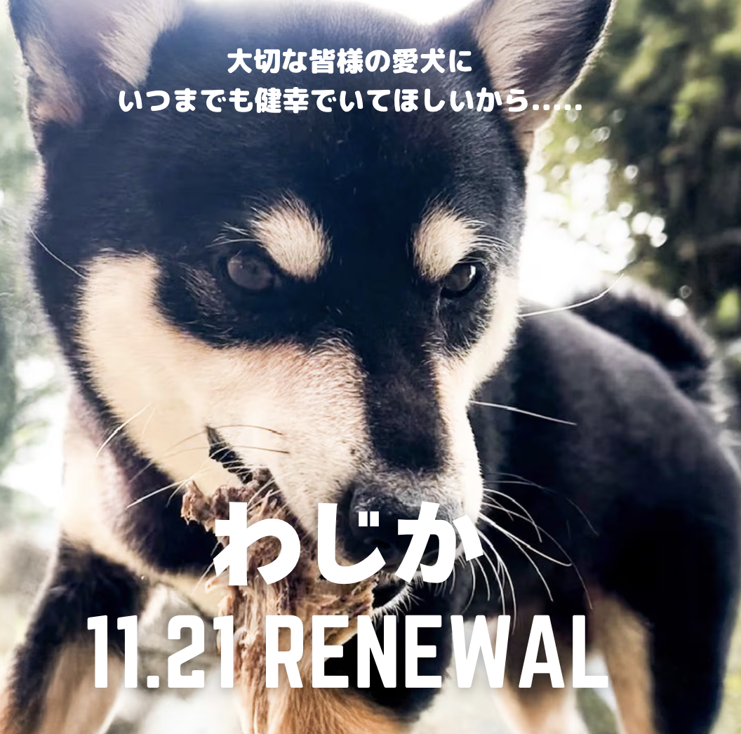 WAJICAは、京都新聞様ほか２７メディアで掲載されました！