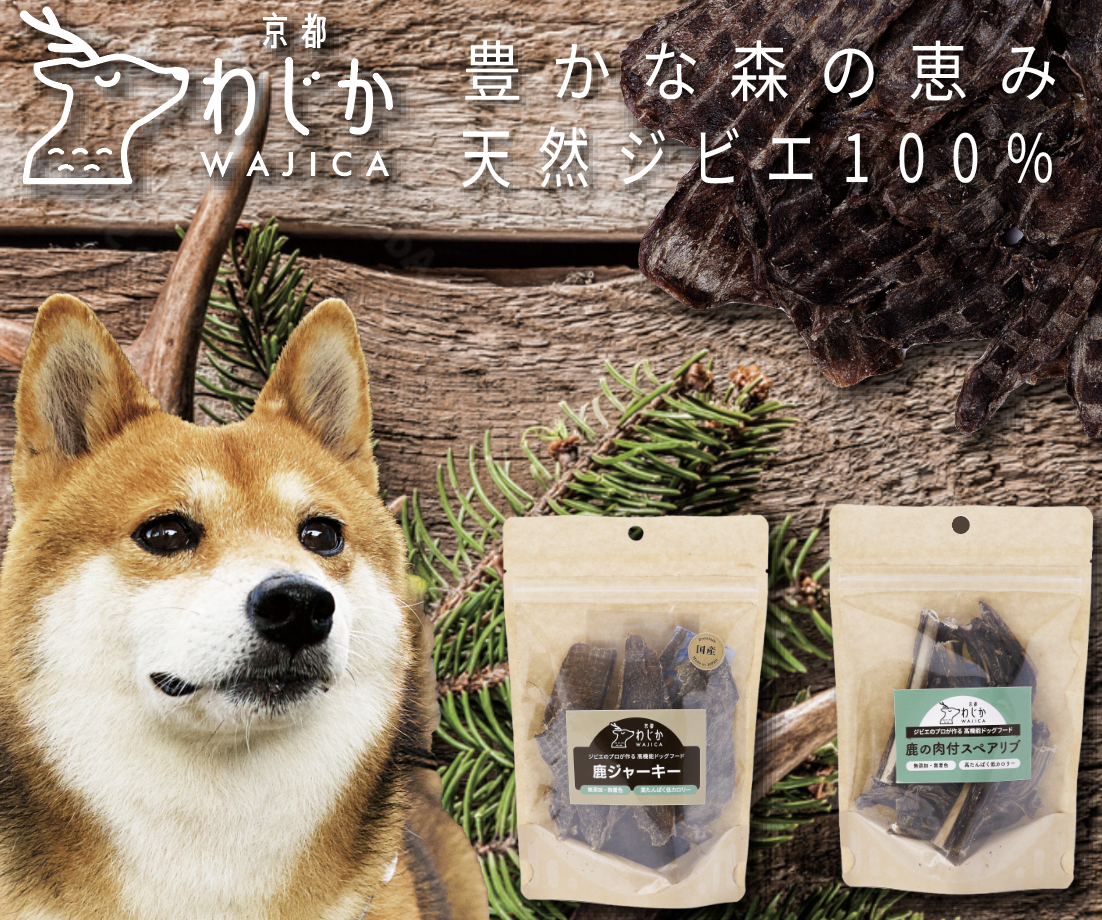 価格改定と全商品送料無料キャンペーンのお知らせ