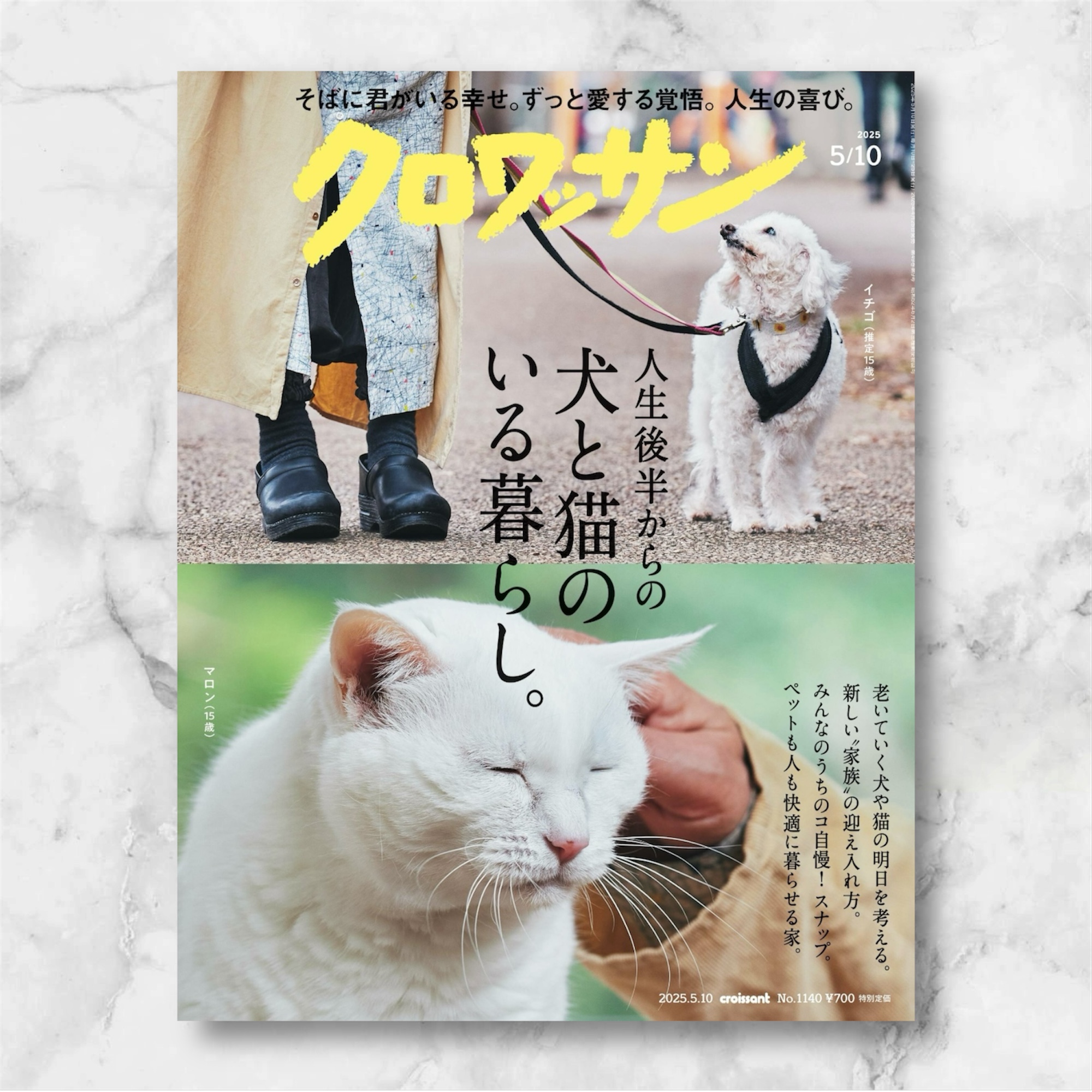 雑誌掲載のお知らせ