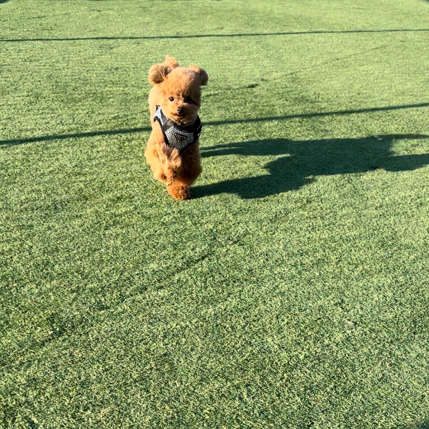 関節のサポートを考えた理由