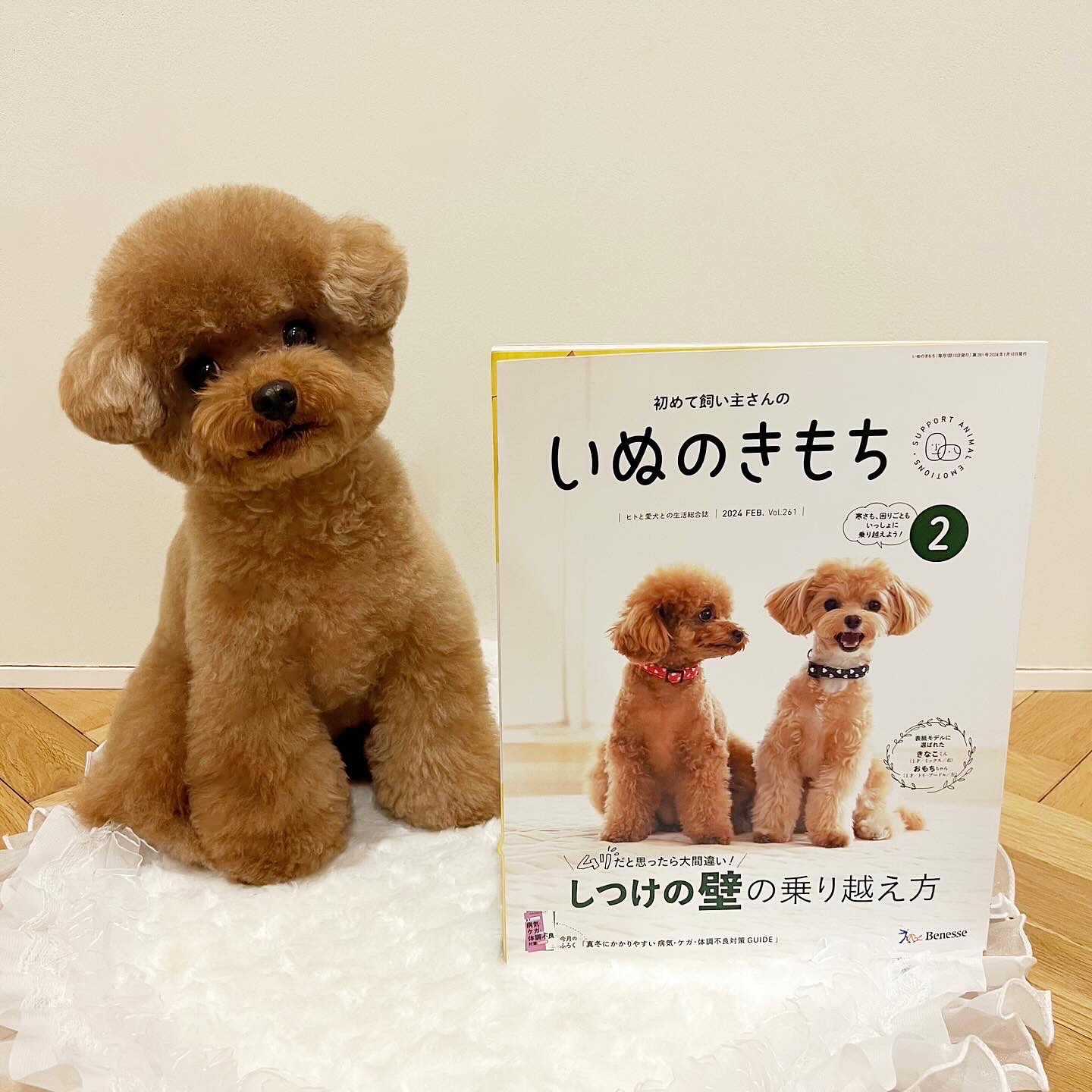 雑誌掲載のお知らせ