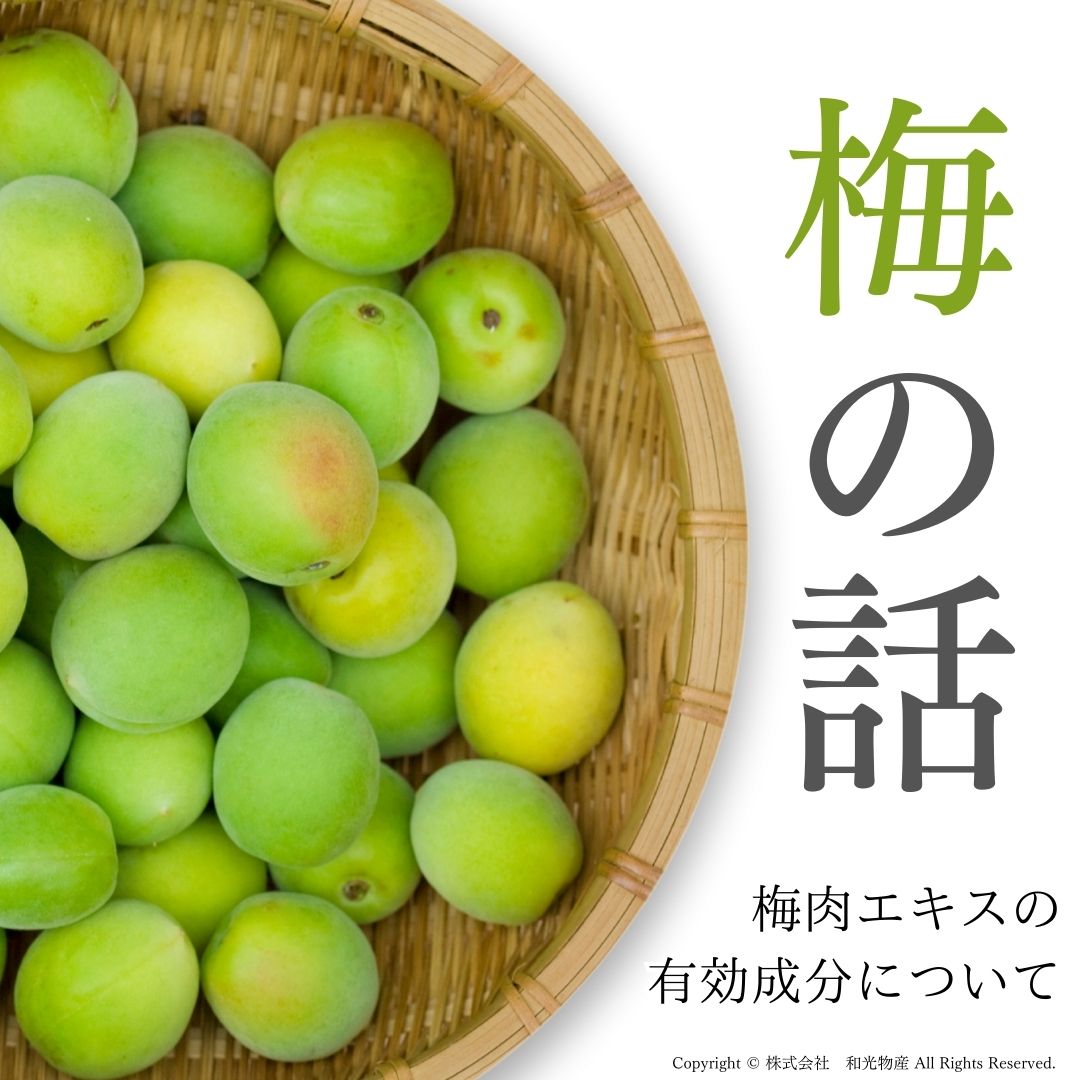 梅から始める健康習慣