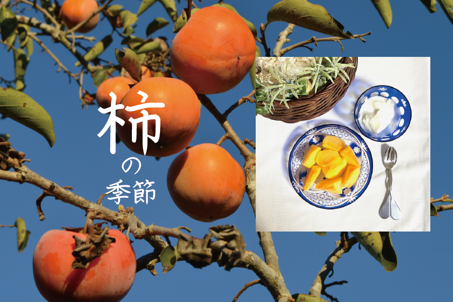 柿の季節
