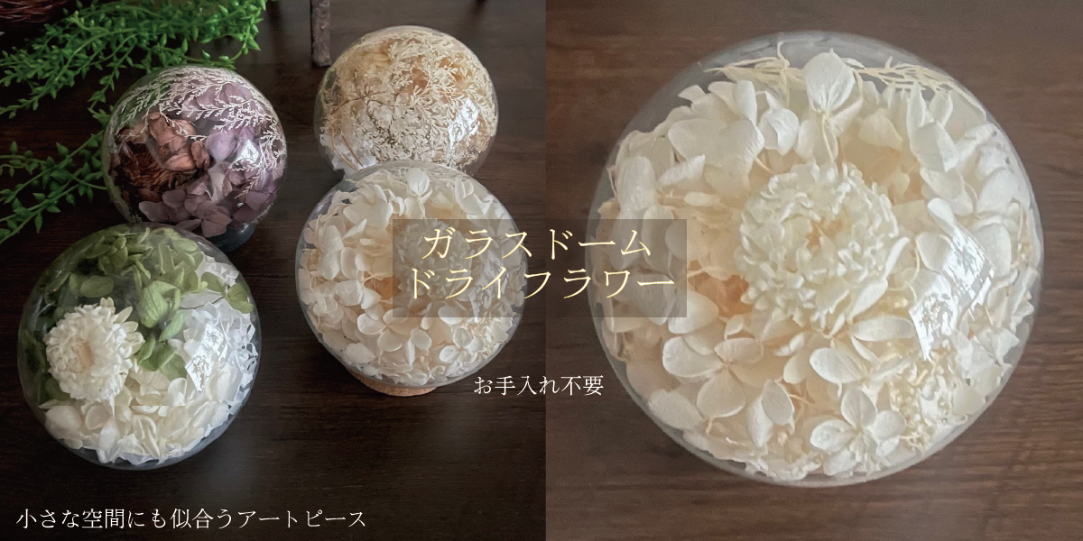 【飾るだけで物語が生まれる】 ガラスドームとドライフラワーの世界
