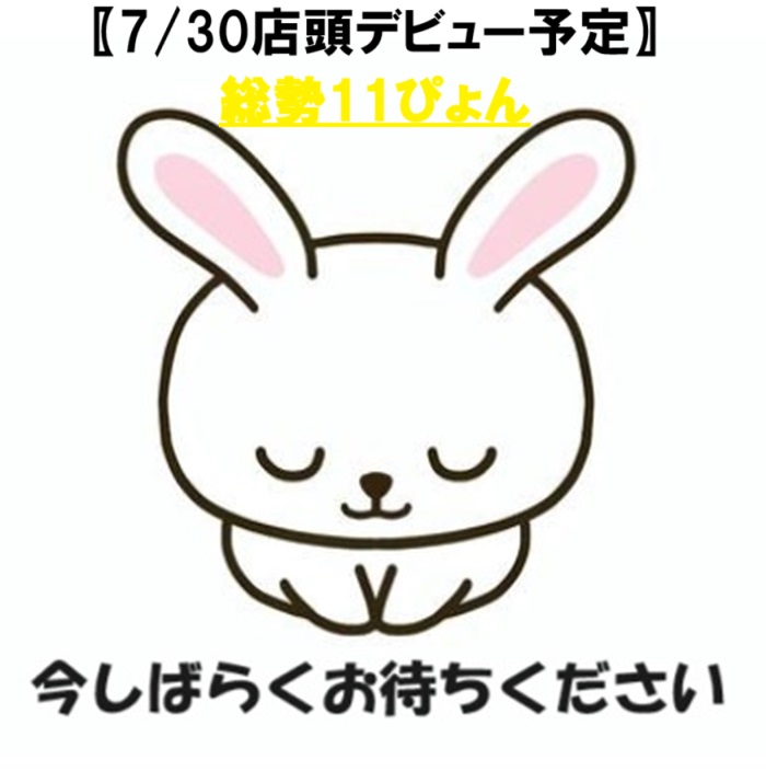 ホーランドロップ（No.1243）