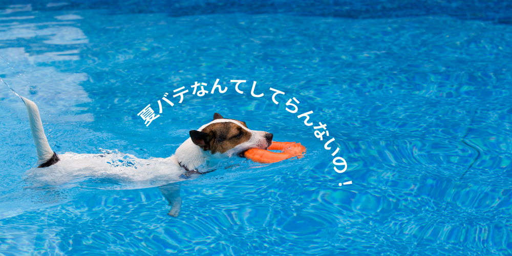 愛犬の夏バテ対策！役に立つ食べ物
