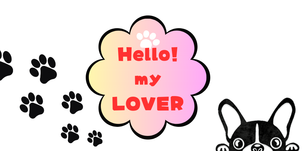 Hello！ My Lover vol.4