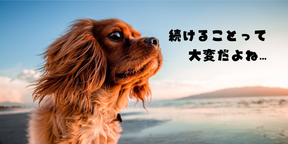 毎日のルーティン化で快適に！