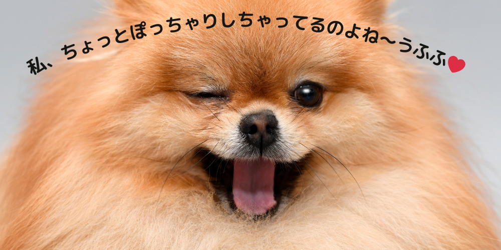 犬にデトックスは必要？