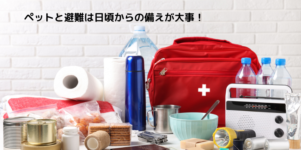 ペット連れの災害対策をしておこう！