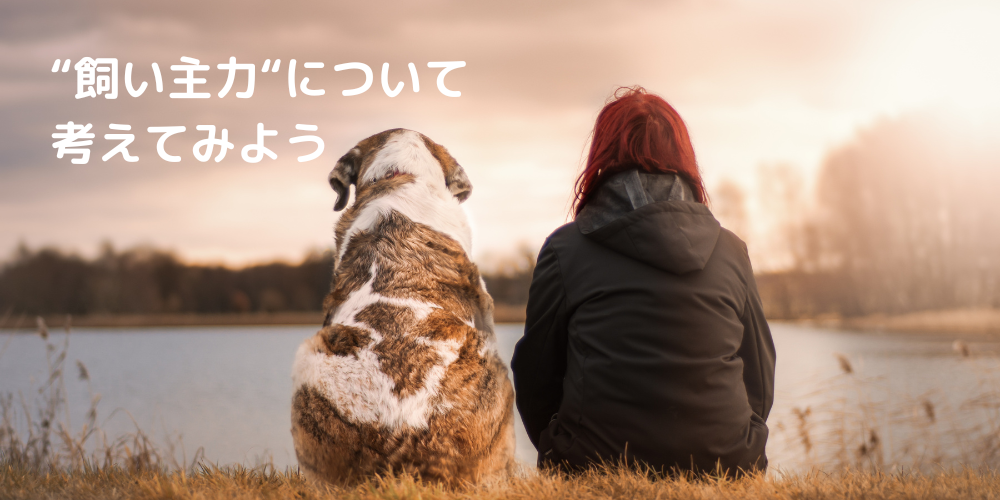 飼い主力について考えてみよう