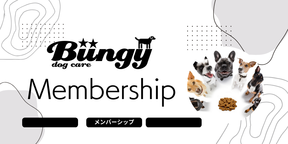 【保存版】お買い物でポイントを獲得する方法