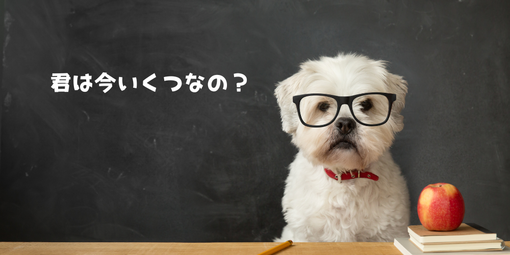 犬の人間年齢の新解釈？！