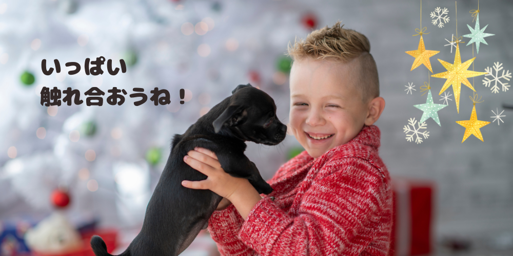 愛犬家が作った愛犬と愛犬家のためのハンドクリーム