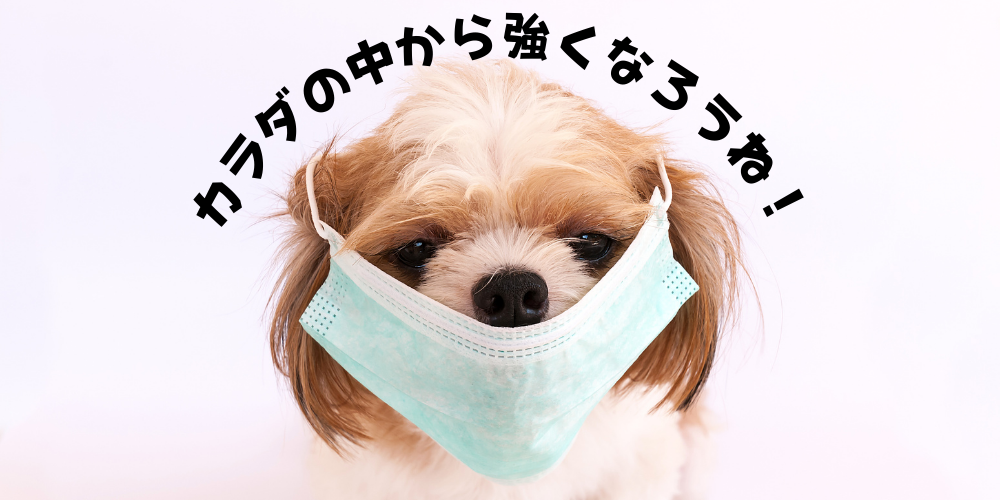 カラダの中からのケアでアレルギーに立ち向かおう！