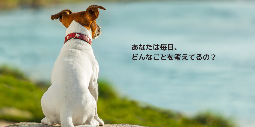 お盆だし、スピリチュアル体験の話