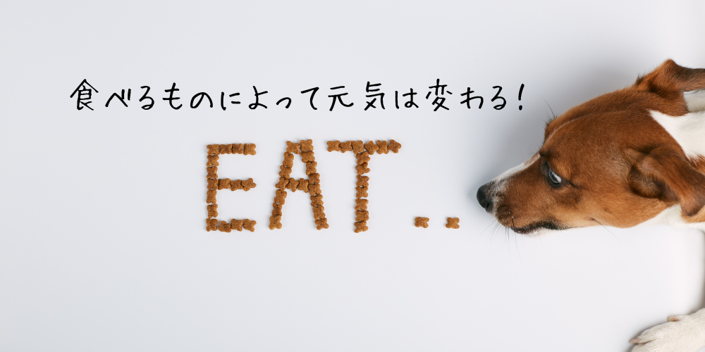 ペット管理栄養士試験を受けました。