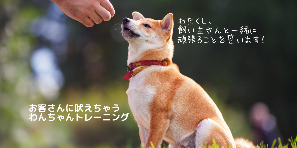 お客さんに吠えちゃうわんちゃんトレーニング