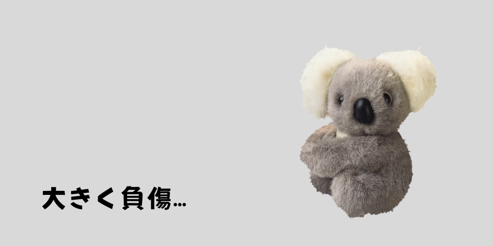 コアラさん、手術します。