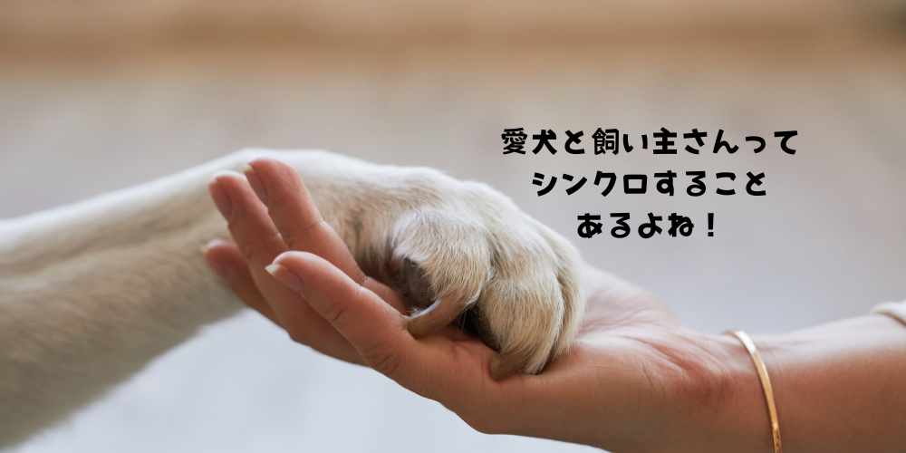 愛犬と飼い主さんのシンクロって？
