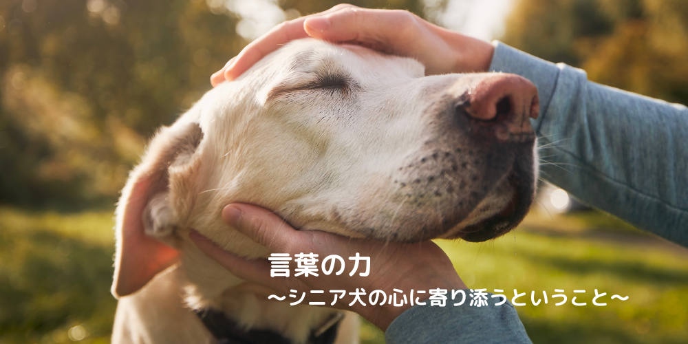 言葉の力　〜シニア犬の心に寄り添うということ〜