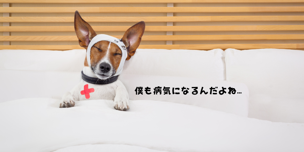 「犬を飼うこと」のお金の話