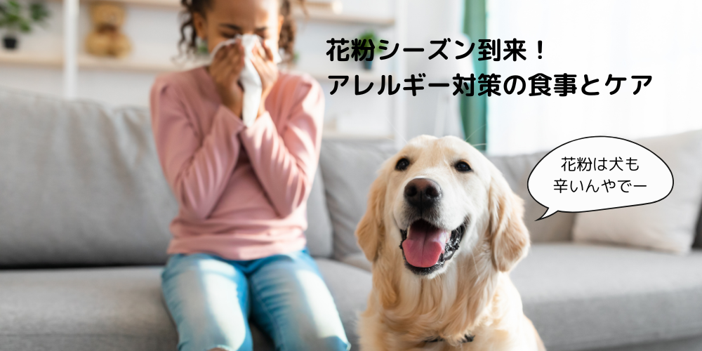 花粉シーズン到来！アレルギー対策の食事とケア