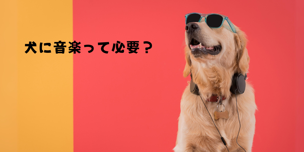 わんちゃんが好きな音楽は？