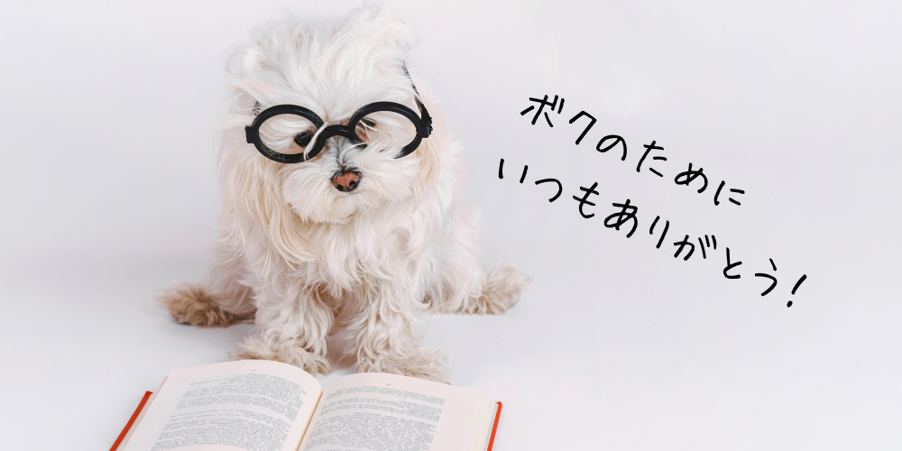 愛犬の健康維持、選択肢の多い時代ですね。