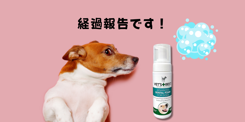 「泡のデンタルフォーム」を利用した経過を報告します