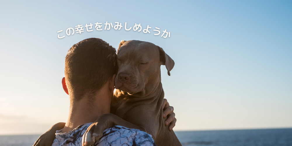 犬を飼っている人の80％が「日常生活に喜び」