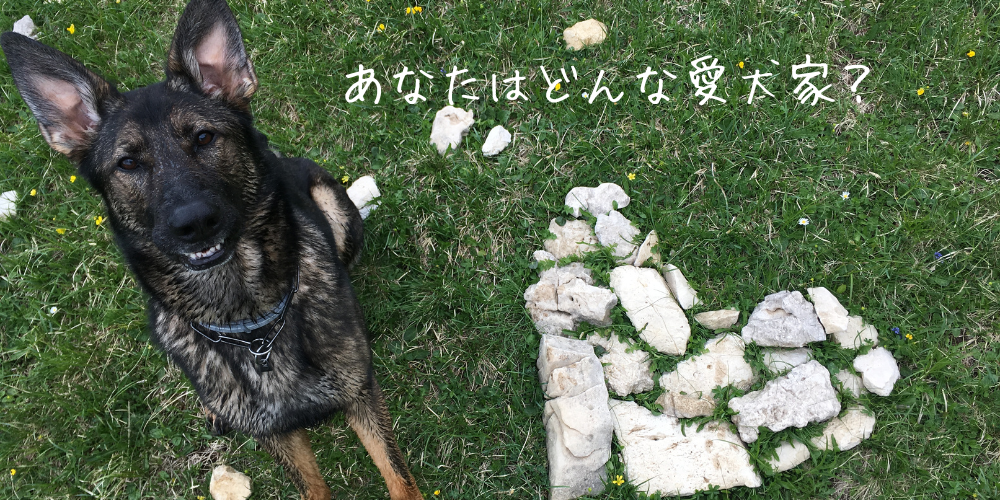 みなさんはどんな愛犬家ですか？