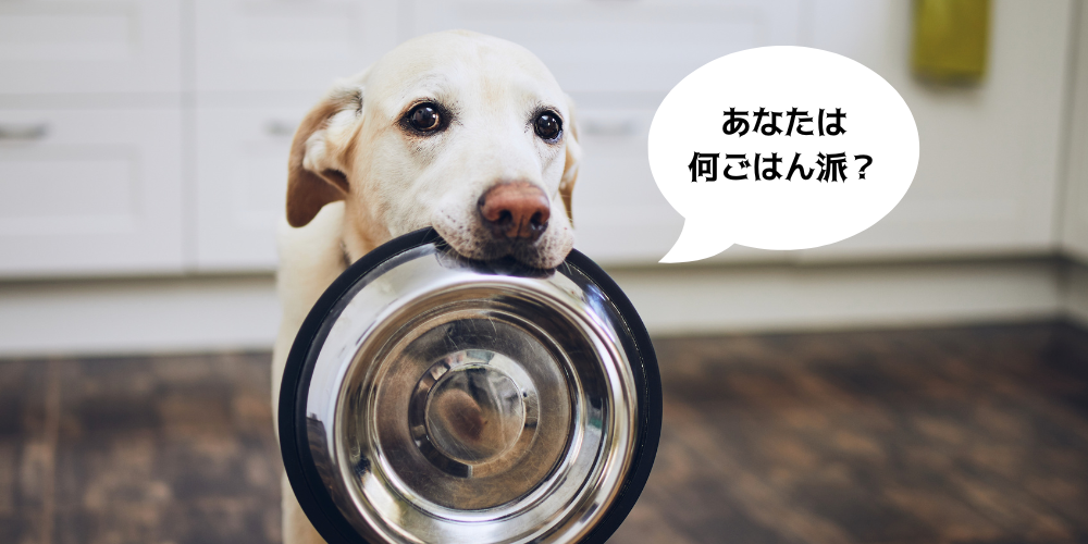 愛犬のごはんは何派？ごはんのタイプ別のメリット