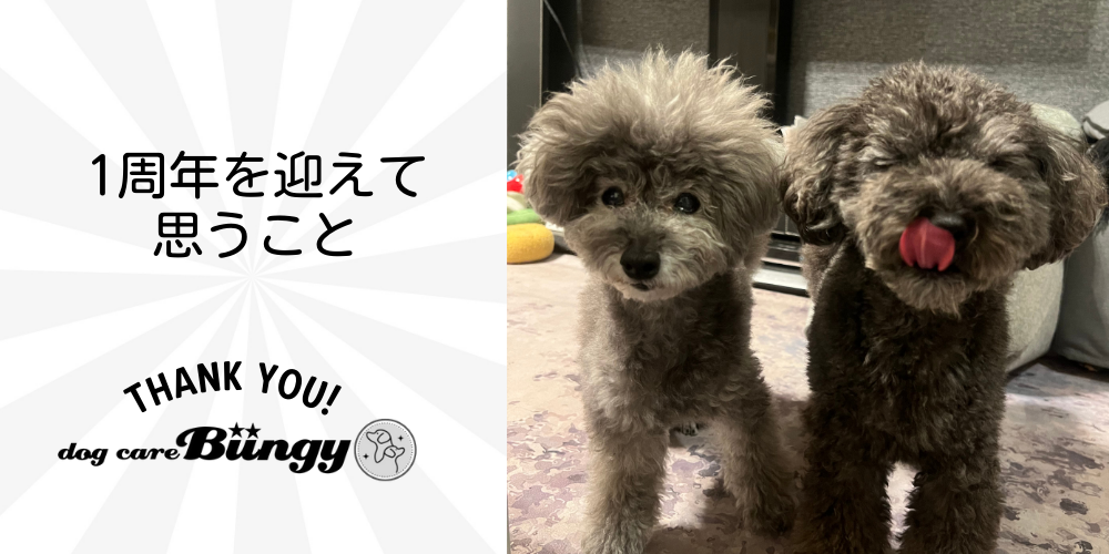 １周年を迎えて思うこと