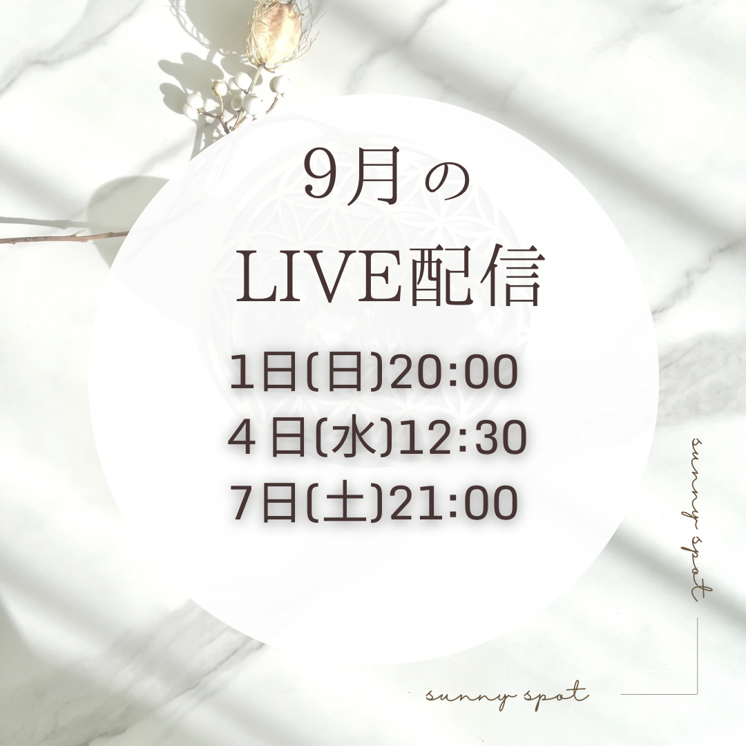 明日のライブはセールを開催